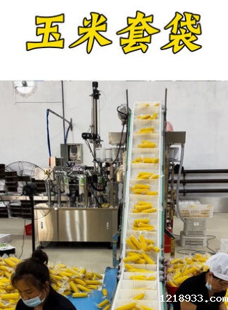 玉米套袋